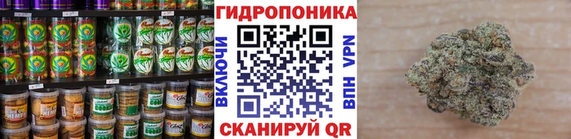 мориарти клад  Назарово  Cannafood конопля 