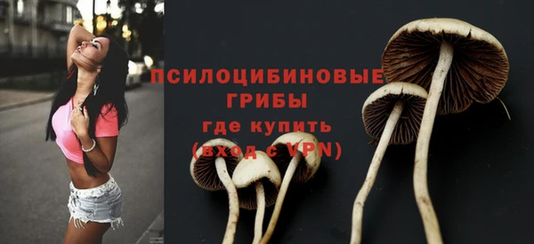 2c-b Кохма