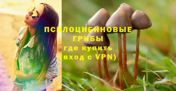 гашиш Горняк