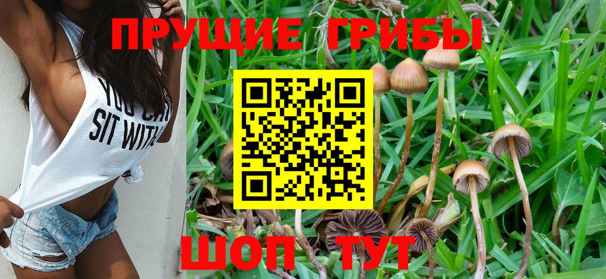 Псилоцибиновые грибы мицелий  Назарово 