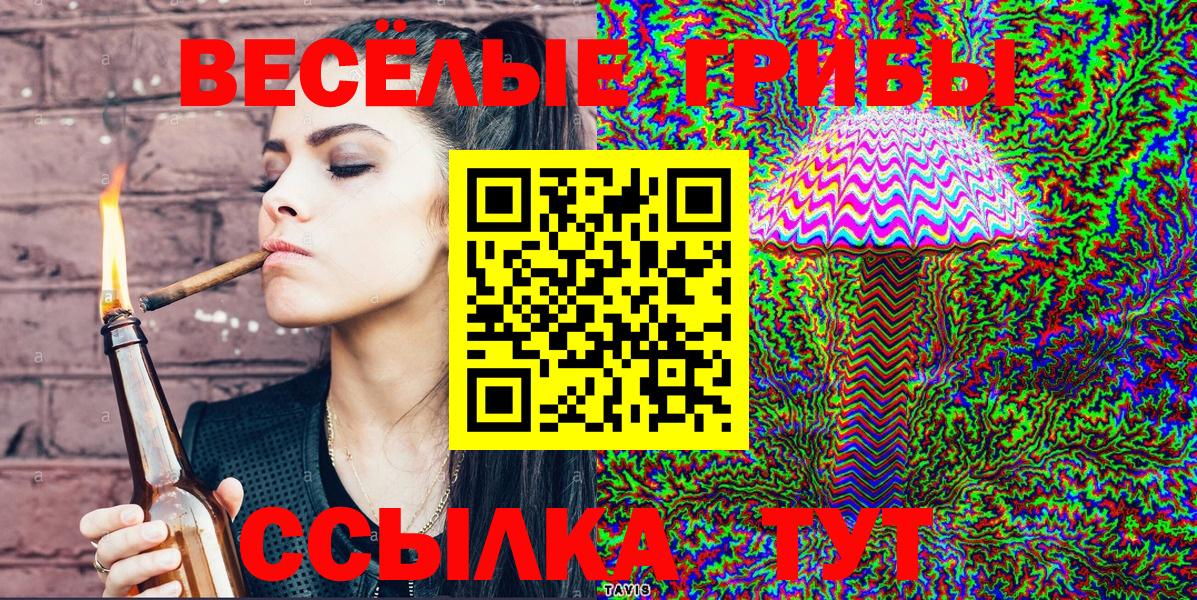 Назарово  Галлюциногенные грибы Psilocybe  Вход с VPN 